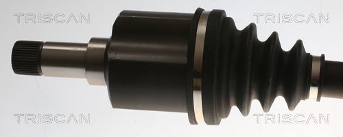 Pusašis TRISCAN 8540 28715