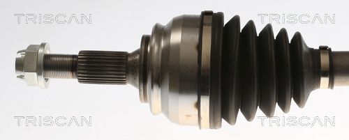 Pusašis TRISCAN 8540 28717