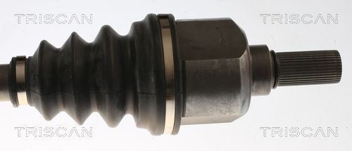 Pusašis TRISCAN 8540 28717