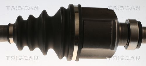 Pusašis TRISCAN 8540 28722