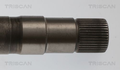 Pusašis TRISCAN 8540 28722