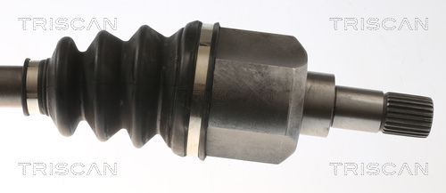 Pusašis TRISCAN 8540 28723