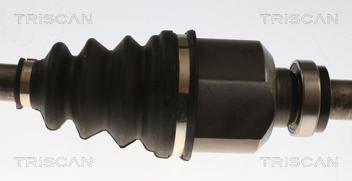 Pusašis TRISCAN 8540 28724