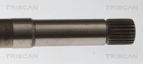 Pusašis TRISCAN 8540 28724