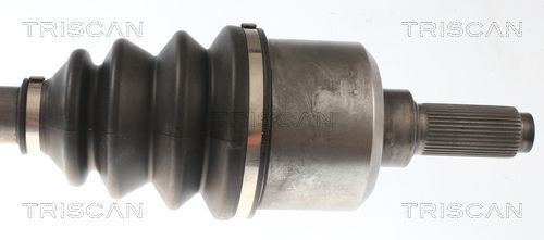 Pusašis TRISCAN 8540 28733