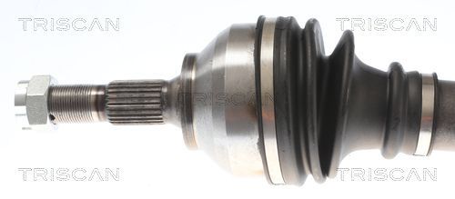 Pusašis TRISCAN 8540 28737