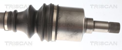 Pusašis TRISCAN 8540 28737