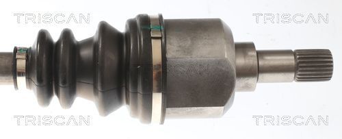 Pusašis TRISCAN 8540 28741