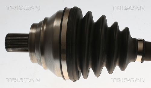 Pusašis TRISCAN 8540 295085