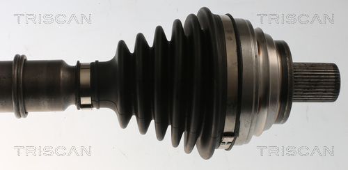 Pusašis TRISCAN 8540 295090