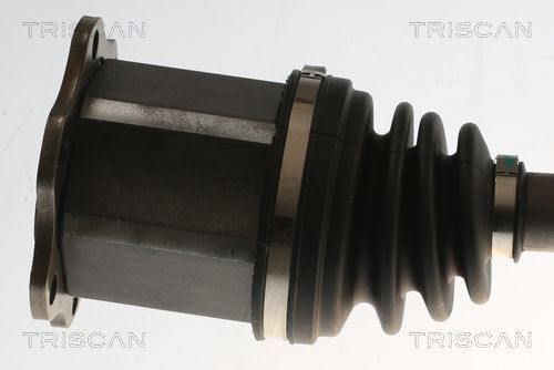 Pusašis TRISCAN 8540 295096