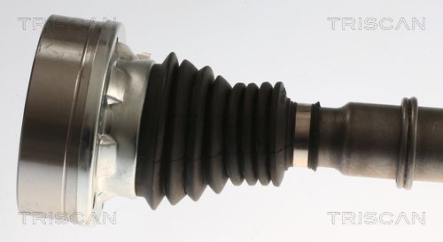 Pusašis TRISCAN 8540 295098