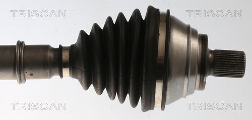 Pusašis TRISCAN 8540 295098