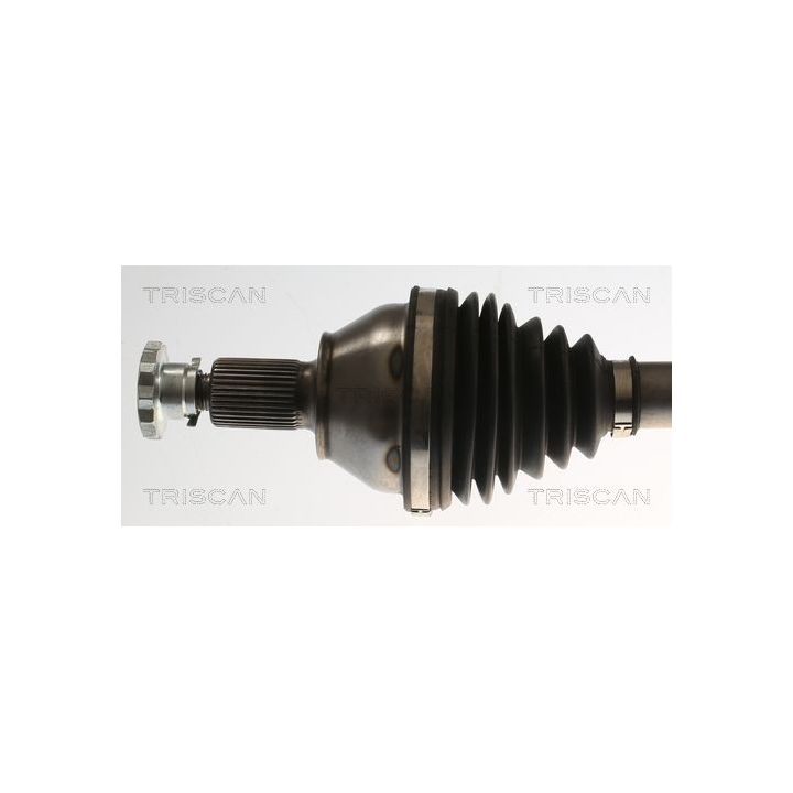 Pusašis TRISCAN 8540 295099