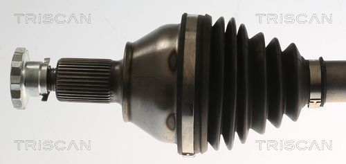 Pusašis TRISCAN 8540 295099