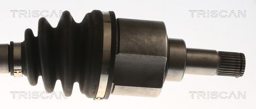 Pusašis TRISCAN 8540 295099