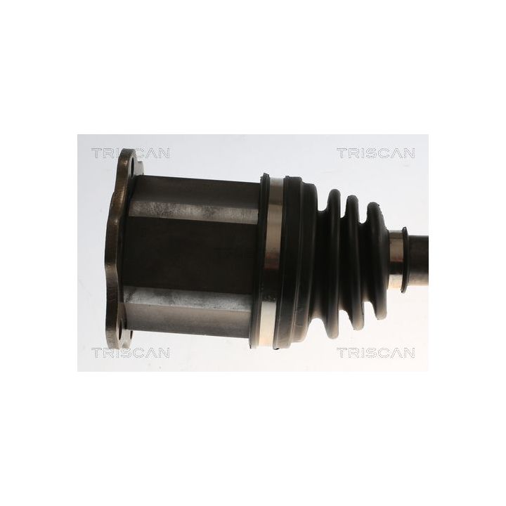 Pusašis TRISCAN 8540 296061