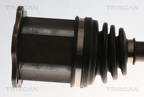 Pusašis TRISCAN 8540 296061