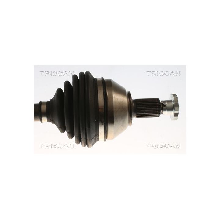 Pusašis TRISCAN 8540 296061