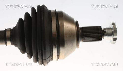 Pusašis TRISCAN 8540 296061