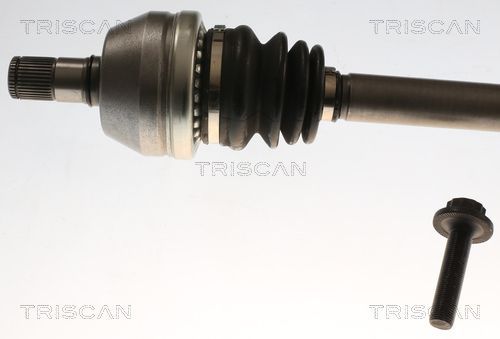 Pusašis TRISCAN 8540 296062