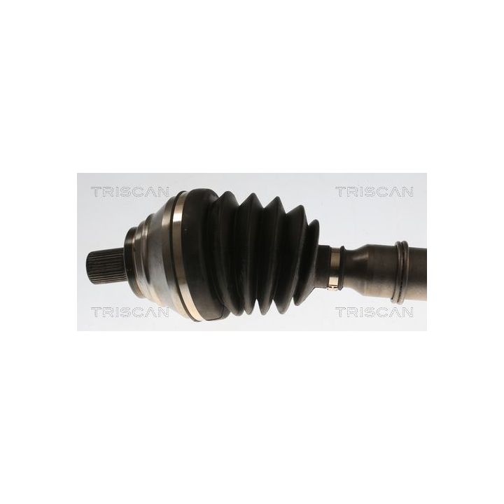 Pusašis TRISCAN 8540 296065