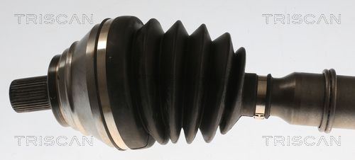 Pusašis TRISCAN 8540 296065