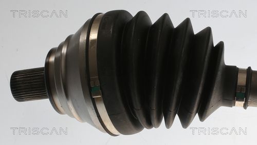 Pusašis TRISCAN 8540 296066