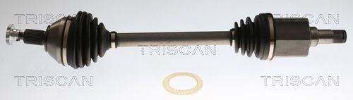 Pusašis TRISCAN 8540 296067