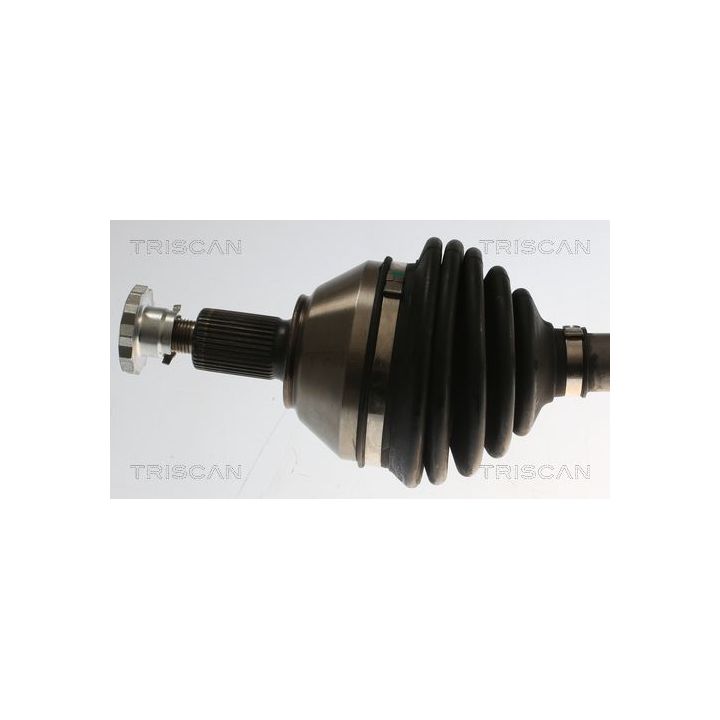 Pusašis TRISCAN 8540 296067