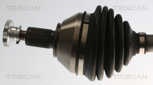 Pusašis TRISCAN 8540 296067