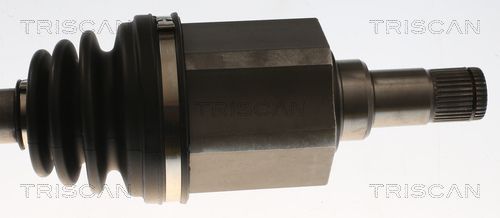 Pusašis TRISCAN 8540 296067