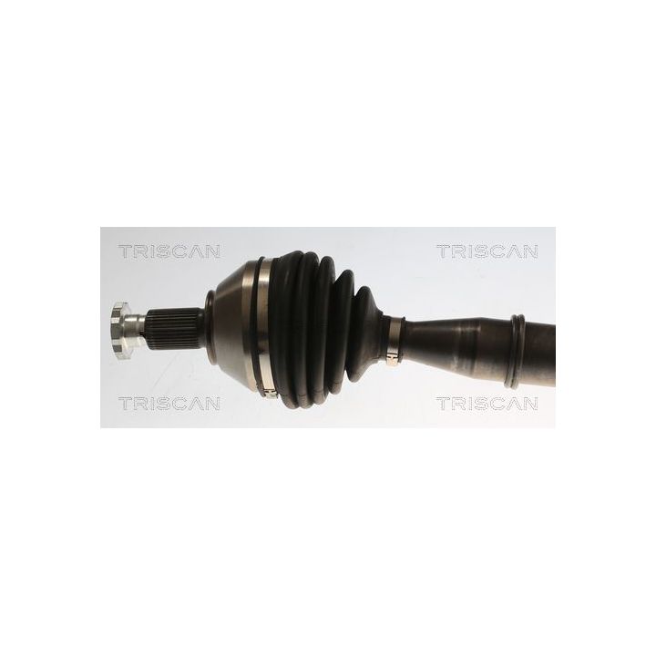 Pusašis TRISCAN 8540 296068