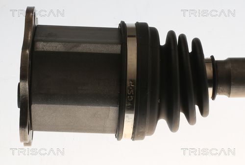 Pusašis TRISCAN 8540 296069