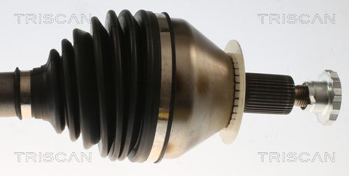 Pusašis TRISCAN 8540 296069