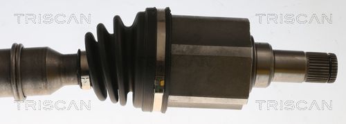 Pusašis TRISCAN 8540 296074