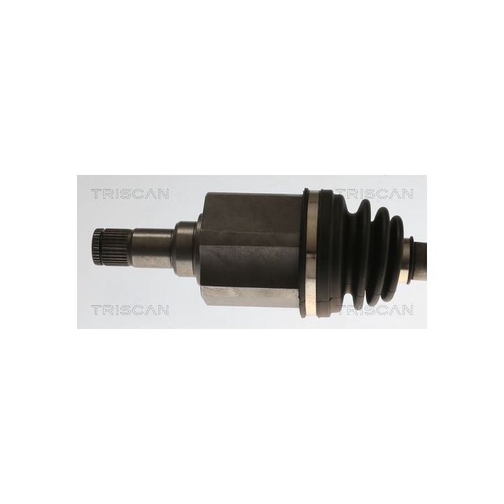 Pusašis TRISCAN 8540 296075