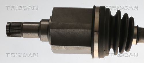 Pusašis TRISCAN 8540 296075