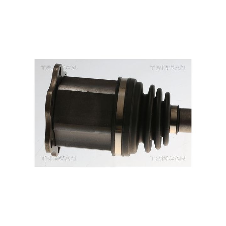 Pusašis TRISCAN 8540 296076