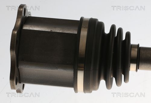 Pusašis TRISCAN 8540 296076