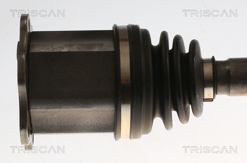 Pusašis TRISCAN 8540 296077