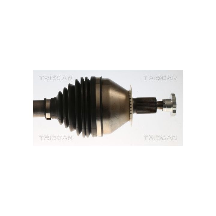 Pusašis TRISCAN 8540 296077