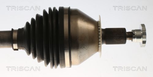 Pusašis TRISCAN 8540 296077