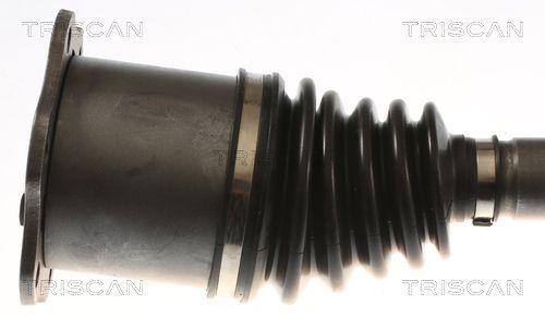 Pusašis TRISCAN 8540 296081