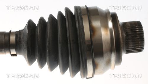 Pusašis TRISCAN 8540 296081