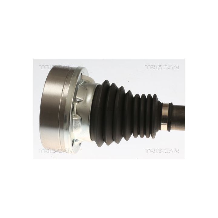 Pusašis TRISCAN 8540 296085