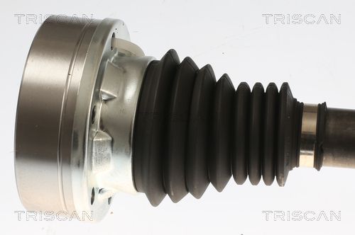 Pusašis TRISCAN 8540 296085