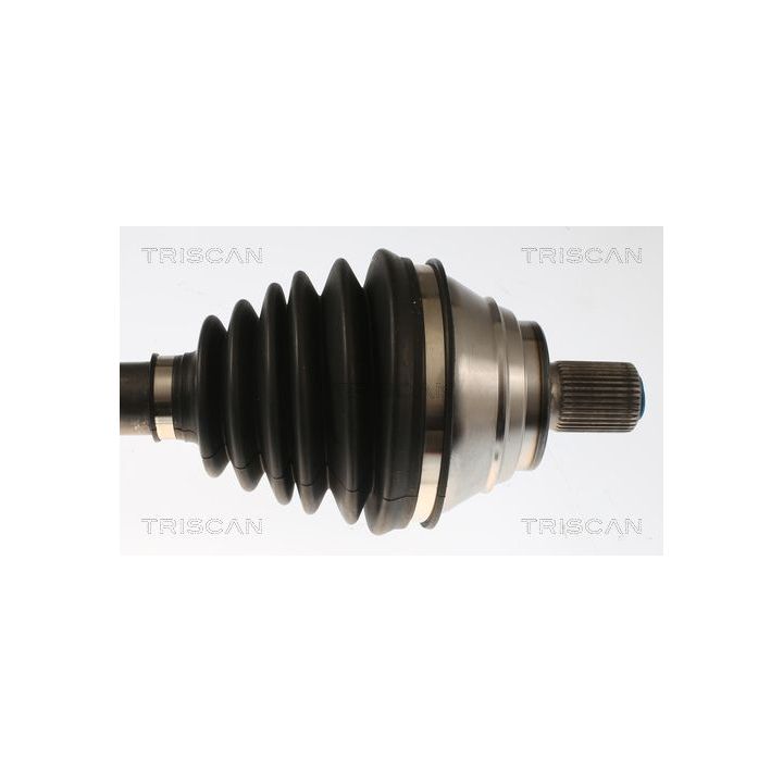 Pusašis TRISCAN 8540 296085