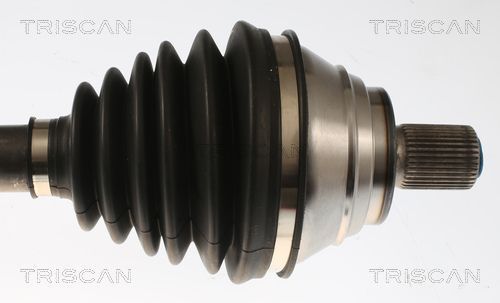 Pusašis TRISCAN 8540 296085