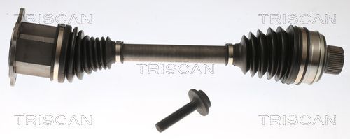 Pusašis TRISCAN 8540 296087